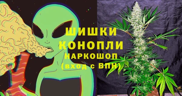 шишки Балабаново