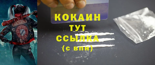 шишки Балабаново